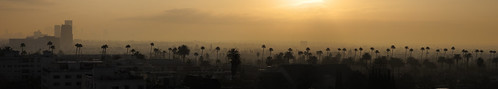 california morning silhouette sunrise losangeles haze palmtrees beverlyhills