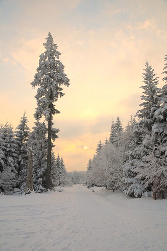 winter sunset snow schwarzwald blackforest kaltenbronn badwildbad lensnikon1685mmf3556gedvrdxafsnikkor