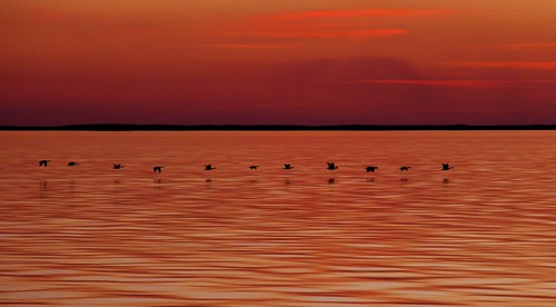 sunset sky lake reflection clouds twilight southcarolina lakemoultrie mdggraphix bonneaubeach lowcountrysunsets