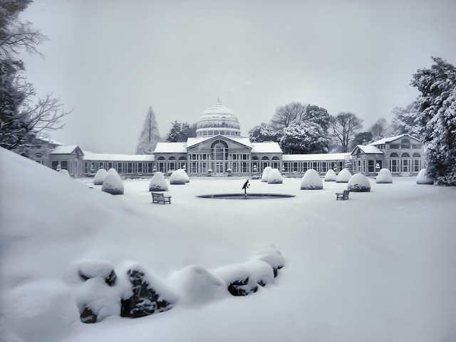 Icing On The Cake - Syon House Gardens - The Great Conservatory London