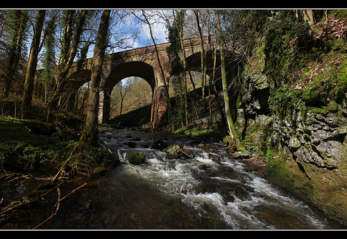 panorama abandoned woodland viaduct gorge dismantledrailway glenfarg perthkinross riverfarg glenfargrailway glenfargviaduct