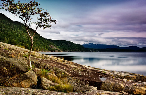sea mountains tree nature water norway coast rocks wasser natur norwegen berge fjord baum küste felsen
