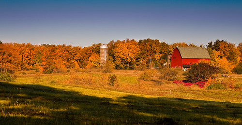 autumn trees light panorama usa fall nature colors field leaves wisconsin barn season landscape photography photo october shadows image farm belleville harvest picture silo american northamerica canonef1740mmf4lusm redbarn 2011 canoneos5d danecounty lorenzemlicka