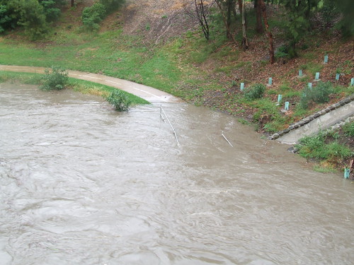 19 Merri Creek at Bell St - the path disappears