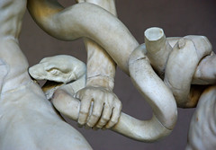 Serp, detall de Laocoont i els seus fills, Musei Vaticani, Roma