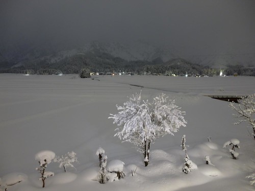 snow field japan night view rice niigata uonuma 120108