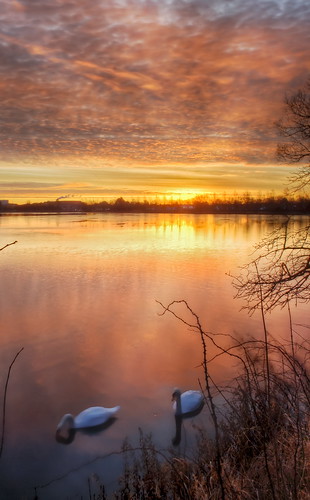 morning autumn trees winter sunset red sky orange cloud sun lake cold color reflection tree fall nature water beautiful yellow clouds sunrise reflections landscape spring hdr