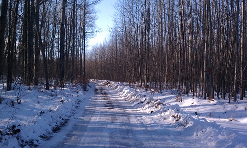 snow scenery michigan rally racing flickrandroidapp:filter=none snodrift2012