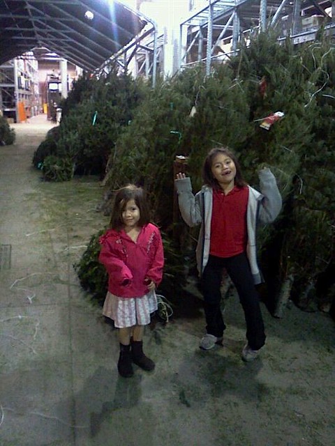 Home Depot trees