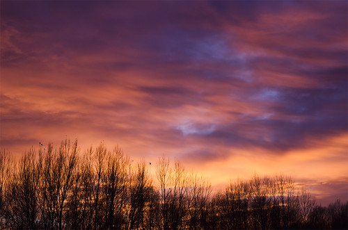sunset atardecer nikon paisaje colores nikkor puesta burgos diciembre 1685 castañares d7000
