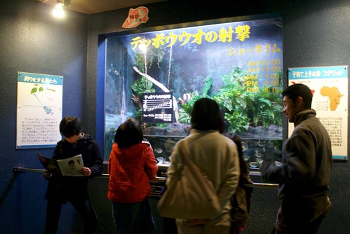 寺泊水族博物館2011冬