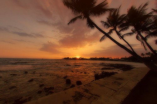 light sunset usa cloud sun tree beach water clouds hawaii evening nikon lab d70 wind stones cost palm fisheye bigisland kona topaz 105mm flickraward blinkagain