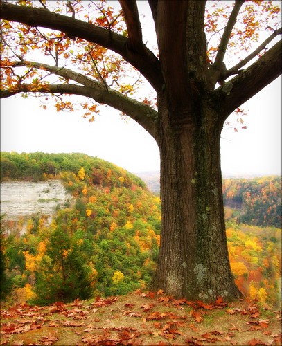 autumn ny newyork fall letchworthstatepark