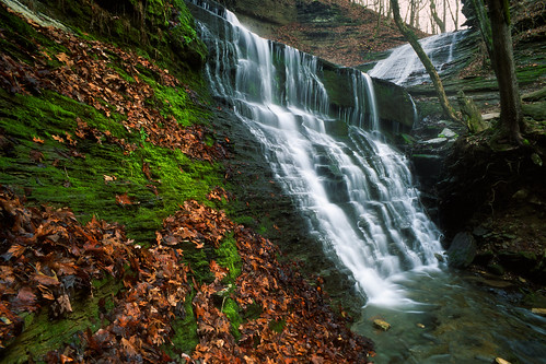 color green film nature leaves waterfall tennessee velvia natcheztrace jacksonfalls