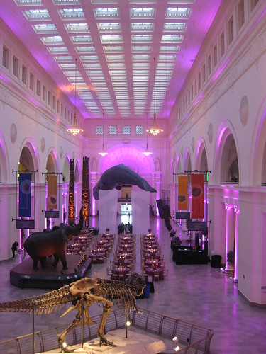 The Field Museum, Chicago