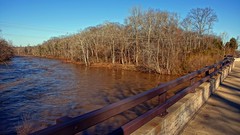 342/365: Thursday, December 08, 2011: Rappahannock River at Kelly's Ford one day after two inches of rain