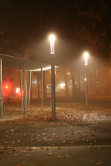 A night out in the fog 2