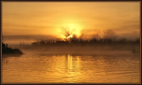 park sun lake reflection nature water fog sunrise golden pond texas bayou pasadena bayareapark armandbayou wanam3