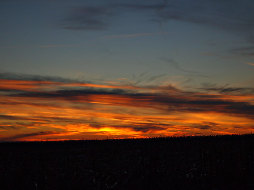 winter sunset illinois farm jerseyville