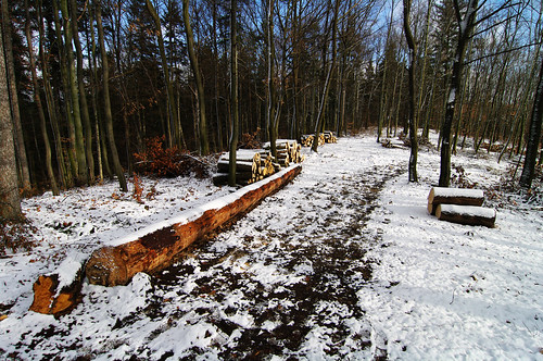 wood snow forest czech path czechrepublic bohemia česko českárepublika centralbohemia středočeskýkraj