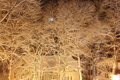 trees snow night canon eos lot buldings 550d druskieninikai