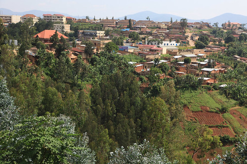 africa rwanda peaceonearthorg gingkogoro