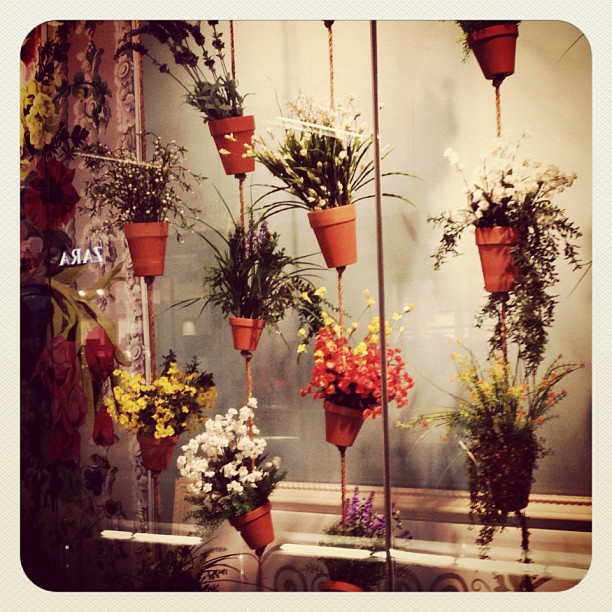 Cute window display with flower pots.