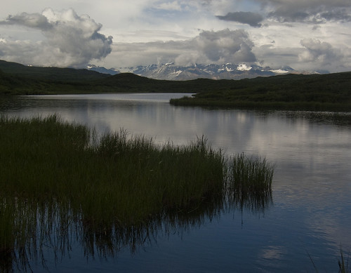 summer lake mountains reflection water alaska denalihighway