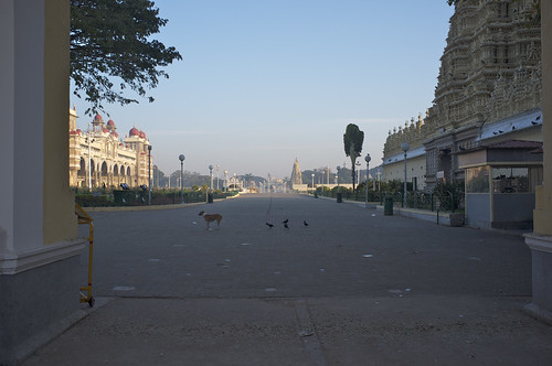 india sunrise palace mysore