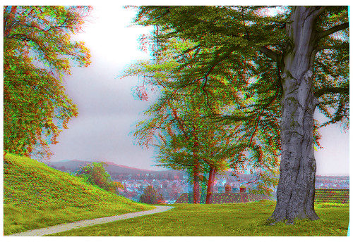 park house mountains radio work canon germany garden eos stereoscopic stereophoto stereophotography 3d ancient europe raw control kitlens twin anaglyph stereo stereoview remote spatial 1855mm schloss viewpoint hdr stud harz blankenburg halftimbered redgreen 3dglasses hdri transmitter antiquated gebirge stereoscopy anaglyphic threedimensional stereo3d cr2 stereophotograph anabuilder saxonyanhalt sachsenanhalt redcyan 3rddimension 3dimage tonemapping 3dphoto 550d stereophotomaker 3dstereo 3dpicture quietearth anaglyph3d yongnuo stereotron