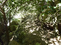 Canyon de Carciara : les restes de murets, sentier et abris aménagés
