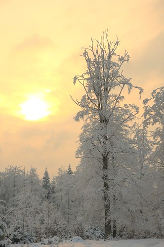 winter sunset snow schwarzwald blackforest kaltenbronn badwildbad lensnikon1685mmf3556gedvrdxafsnikkor