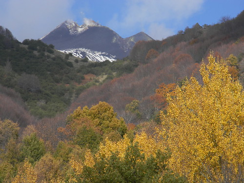 autumn mountain forest volcano etna 2011