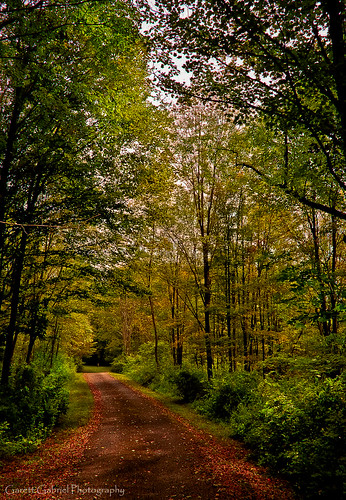 lighting trees windows light mountains gabriel nature water colors animals clouds skyscape landscape lights photo nikon midwest flickr dynamic outdoor wildlife scenic blues sunsets adventure shade greens kansas editing 5100 yellows reds grassland hdr creeks lightroom layering bracketing “black white” garett “united art” photos” “photo darks “digital states” photography” “high processing” range” “nature “wildlife “landscape photographer” “license “outdoor “adventure “photography “stock bbng “garett