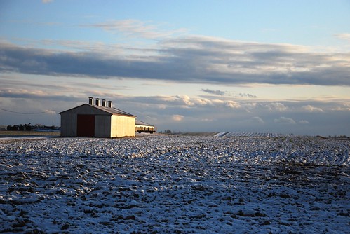 winter sunset snow canada farm hiver country champs fields neige campagne coucherdesoleil stesprit québec lanaudière