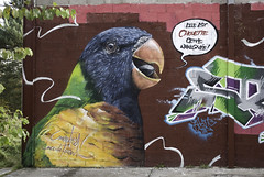 Street-art graffiti