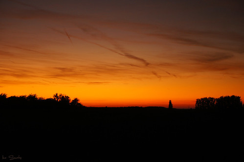 trees sunset sky color landscape silhouettes fields sigma1850mm sooc sonyalpha580 smetsine