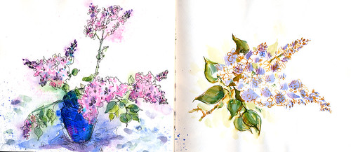 April 2014: Lilac Season