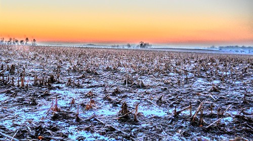 winter sun snow tree nature field sunrise frozen corn dale indiana ground southernindiana hdr
