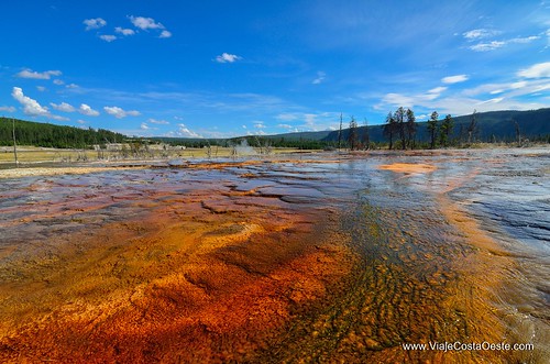 VIAJE COSTA OESTE EE.UU. - Blogs de USA - Yellowstone - Zona Sur (5)