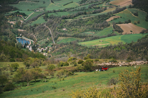 park trees italy dog nature car landscape countryside nikon sheep fav50 country hill umbria fujisuperia400 appleaperture fav10 fav25 vsco d5200 afsdxvrzoomnikkor18105mmf3556ged nikond5200 vscofilm collescille travel:italy=umbriaapr2014