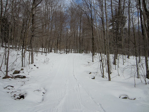 snow ski woods adirondacks crosscountry trail laplandlake