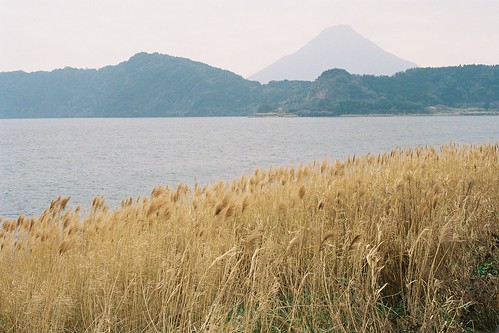 film 35mm kodak olympus om10 日本 zuiko 九州 池田湖 profotoxl100