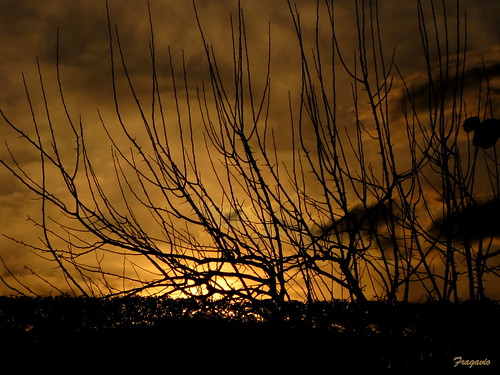sunset tramonto sicily augusta sicilia francesco 2012 gavioli greatphotographers canonsx10is fragavio flickraward5 mygearandmepremium rememberthatmomentlevel1 rememberthatmomentlevel2