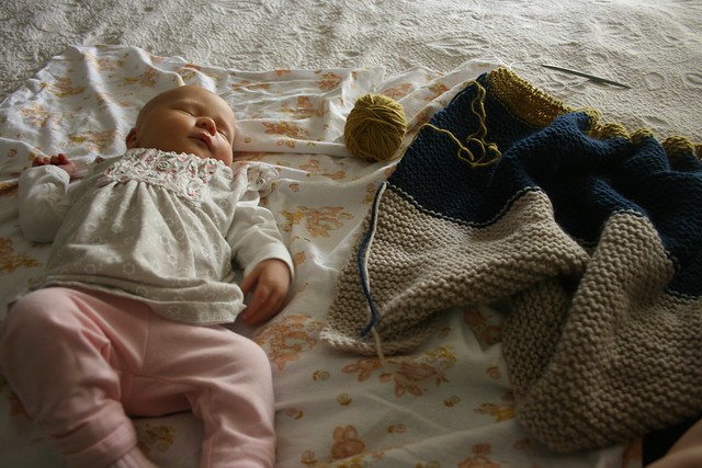 Knitting companion