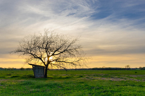 sunset sun tree oklahoma alex field rural spring nikon day cloudy farm pacificnorthwest ok pnw d7000 blinkagain
