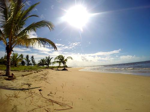 light sol praia beach nature brasil mar areia natureza pernambuco coqueiro nordeste maracaipe gopro
