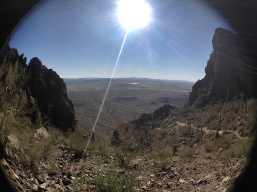 arizona picachopeak picacho