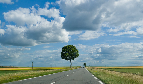road summer france tree field clouds landscape geotagged champagneardenne