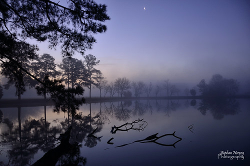 trees moon water birds fog sunrise reflections landscape nikon north n explore h carol tow d90 newvision outdoorphotography ncphotography stephanherzogphotography peregrino27newvision craoalina